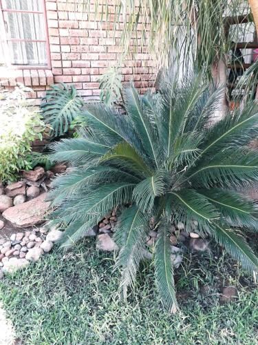 Outdoor Pictures 17