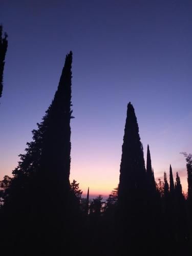 Outdoor Pictures 2
