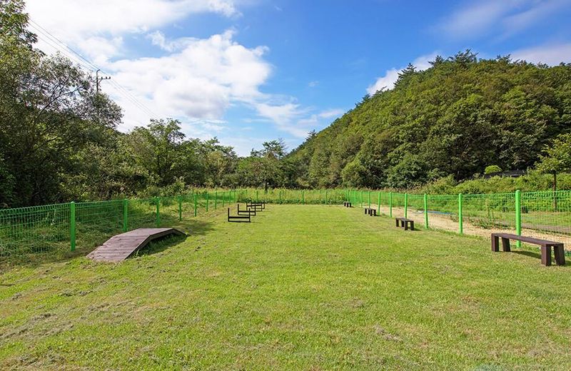 Pocheon Geo kids glamping