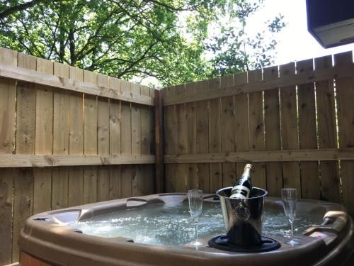 The Stag & Squirrel Lodge