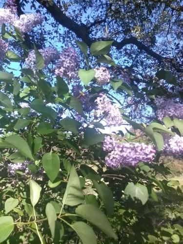 Outdoor Pictures 2