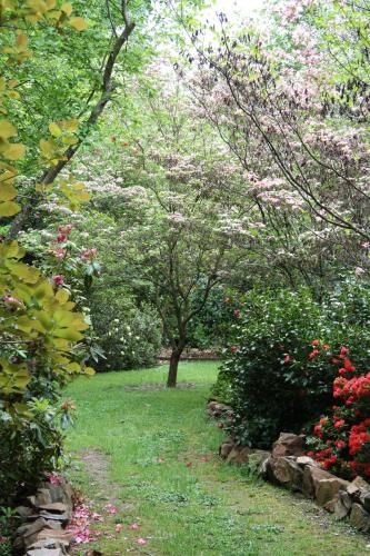 Outdoor Pictures 4