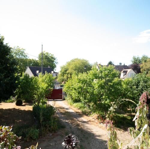 LA VIGNE