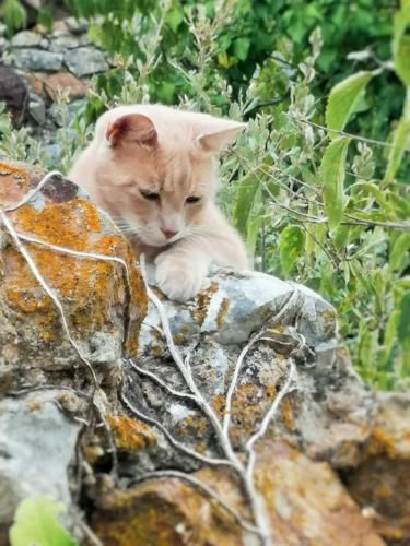 Outdoor Pictures 1