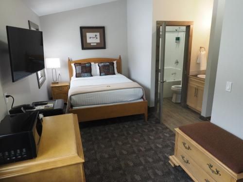 Apex Lodge Standard Room - 5 Hotel Room