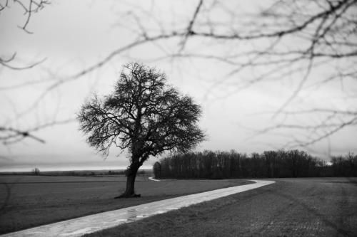 Outdoor Pictures 2