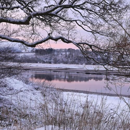 Shorepark Holiday Cottage accepting Essential Key worker until April 26