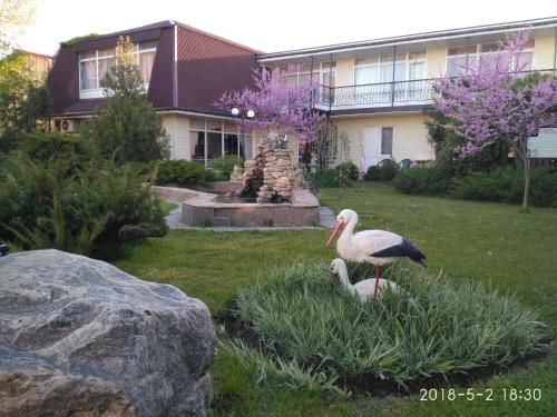 Outdoor Pictures 1