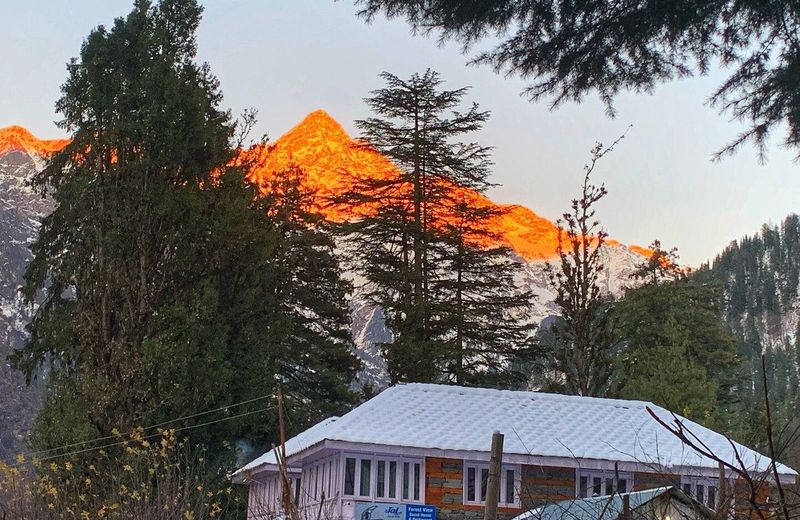 Old forest view guest house in pulga