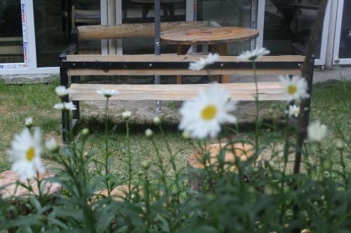 Outdoor Pictures 2