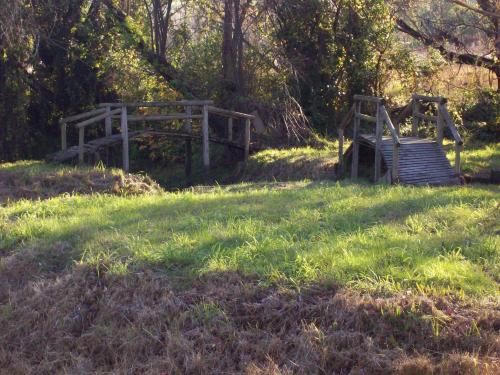 Outdoor Pictures 15