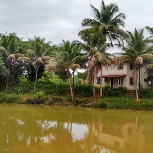 Casa de Campo em Mangarai - Santa Leopoldina (ES)