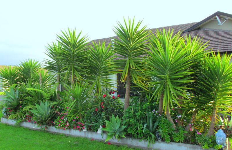 Mangrove Manor Bed & Breakfast