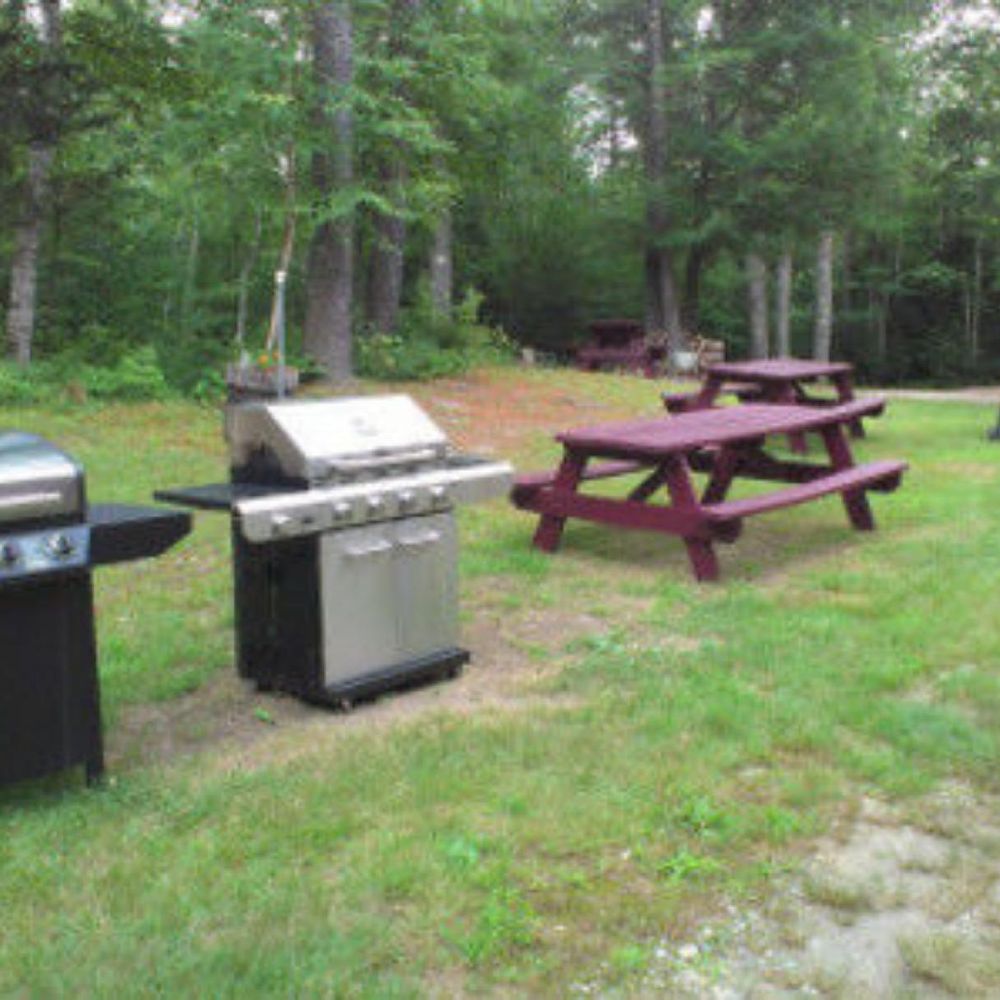 Outdoor Pictures 3