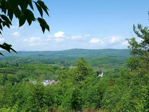 Outdoor Pictures 4