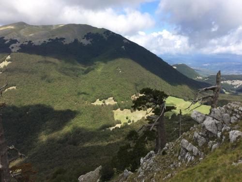 Casa Vacanze del Pollino