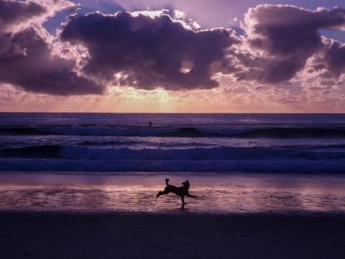Outdoor Pictures 15