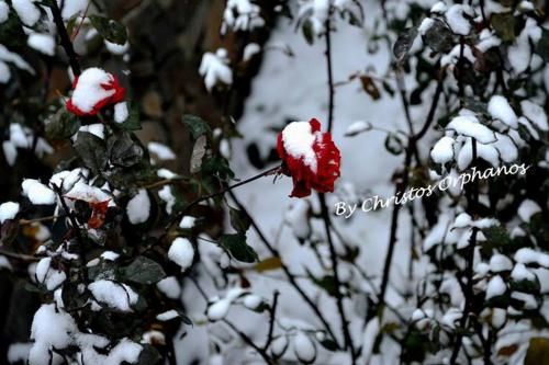 Outdoor Pictures 4