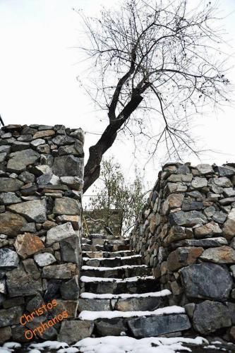 Outdoor Pictures 7
