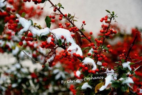 Outdoor Pictures 8