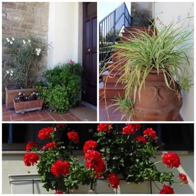 Outdoor Pictures 5