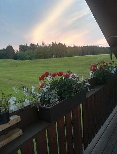 Outdoor Pictures 1