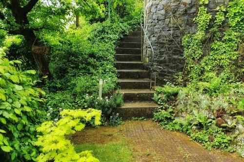 Outdoor Pictures 17