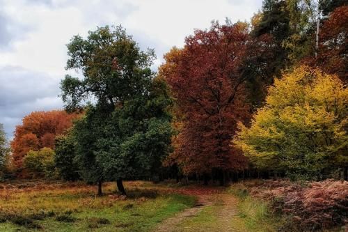 Outdoor Pictures 24