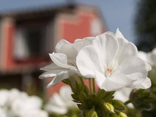 Outdoor Pictures 11