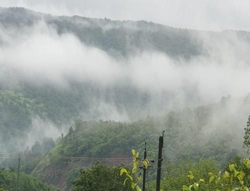 Kokan Safari, Chiveli