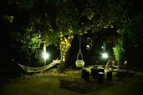 Outdoor Pictures 3