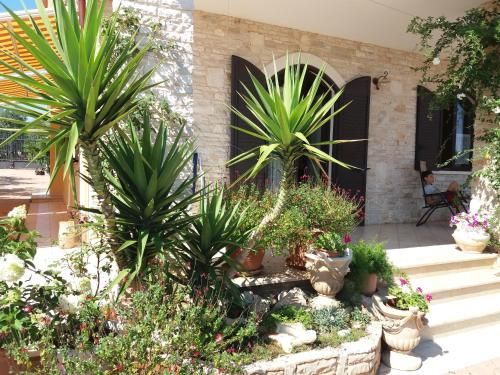 Outdoor Pictures 9