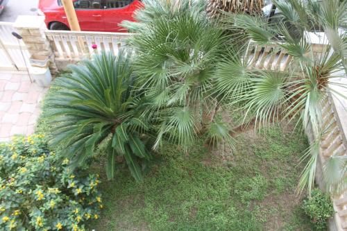 Outdoor Pictures 7