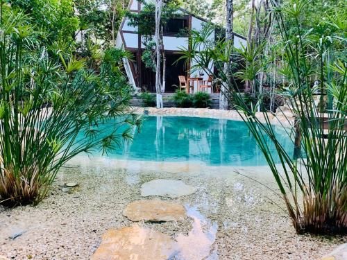 Nahouse Jungle Lodges
