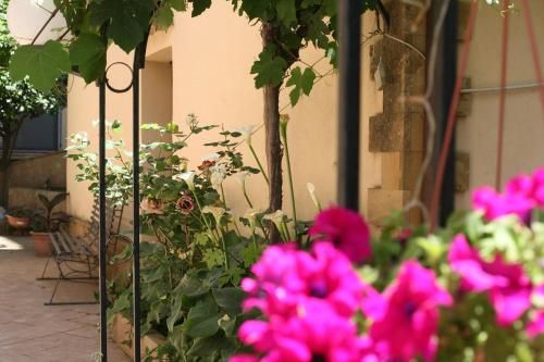 Outdoor Pictures 9