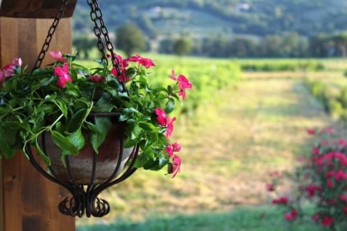 Outdoor Pictures 5