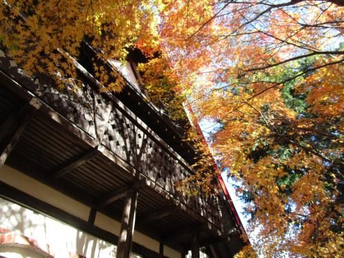 Outdoor Pictures 5