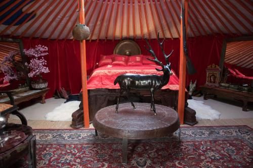 Crazy Lounge BnB