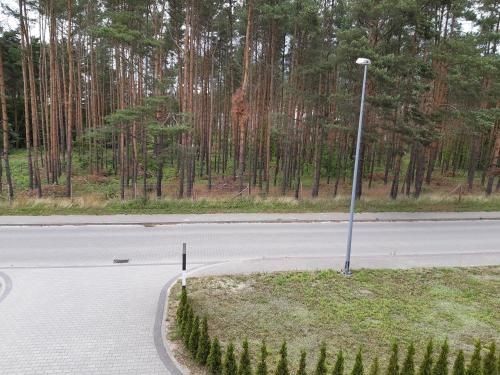 Outdoor Pictures 3