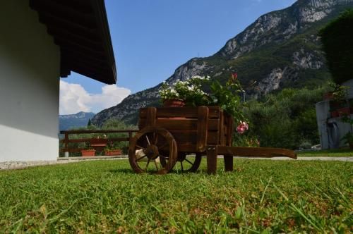 Outdoor Pictures 8