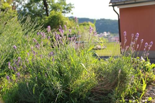 Outdoor Pictures 2