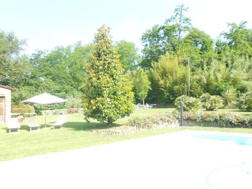 Outdoor Pictures 2