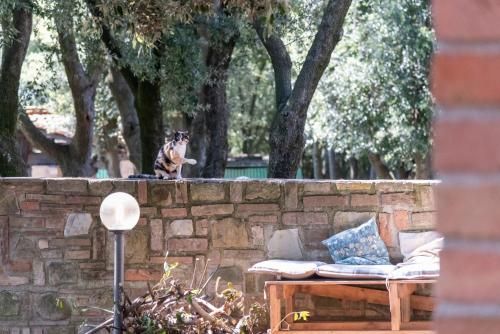 Outdoor Pictures 3