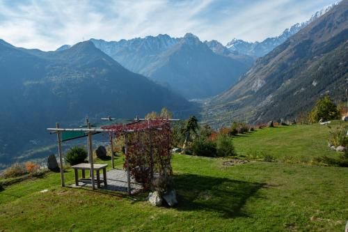 Outdoor Pictures 5