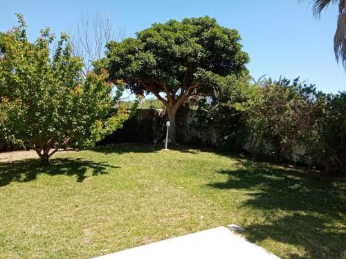 Outdoor Pictures 4