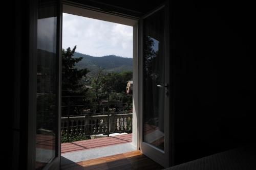 Outdoor Pictures 8