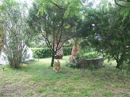 Outdoor Pictures 3