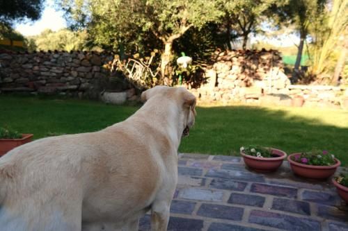 Outdoor Pictures 5