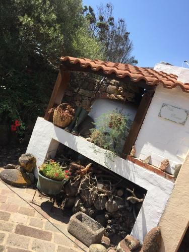 Outdoor Pictures 1