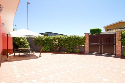 Outdoor Pictures 3